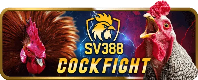 Cá cược thể thao sp666